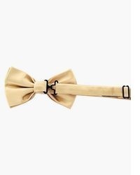beige Seidefliege von axy
