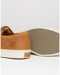 beige Turnschuhe von Timberland