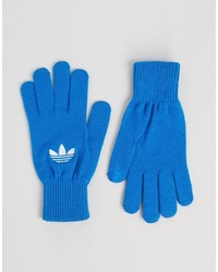 blaue Handschuhe