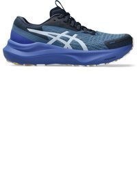 blaue Sportschuhe von Asics