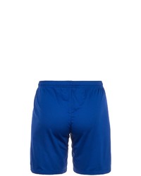 blaue Sportshorts von Nike