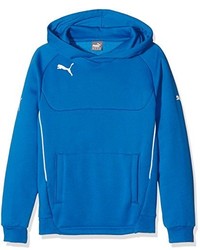 blauer Pullover mit einem Kapuze