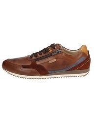 braune Leder niedrige Sneakers von PIKOLINOS