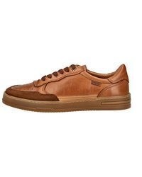 braune Leder niedrige Sneakers von PIKOLINOS