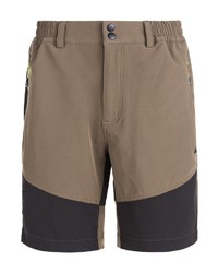 braune Shorts von Whistler