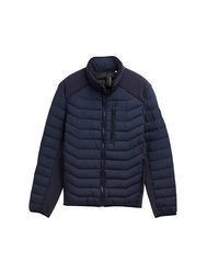 dunkelblaue gesteppte leichte Daunenjacke von Tom Tailor