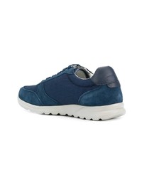 dunkelblaue Leder niedrige Sneakers von Geox