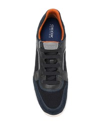 dunkelblaue Leder niedrige Sneakers von Geox