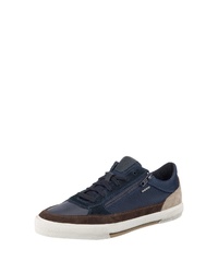 dunkelblaue Leder niedrige Sneakers von Geox