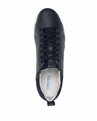 dunkelblaue Leder niedrige Sneakers von Geox