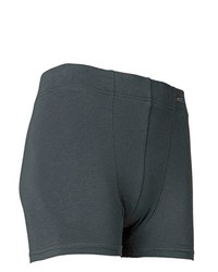 dunkelgraue Shorts von Planam
