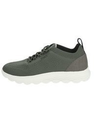 dunkelgrüne Leder niedrige Sneakers von Geox