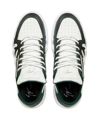 dunkelgrüne Leder niedrige Sneakers von Giuseppe Zanotti