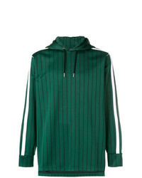 dunkelgrüner vertikal gestreifter Pullover mit einem Kapuze