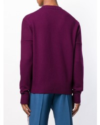 dunkellila Pullover mit einem Rundhalsausschnitt von Calvin Klein 205W39nyc