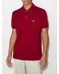 dunkelrotes Polohemd von Lacoste