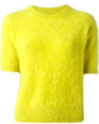 gelbgrüner Pullover mit einem Rundhalsausschnitt