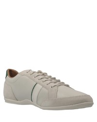 graue Leder niedrige Sneakers von Lacoste