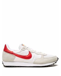 graue Sportschuhe von Nike