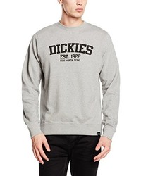 grauer Pullover von Dickies
