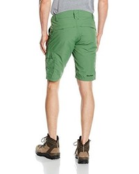 grüne Shorts von Salewa