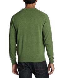 grüner Pullover mit einem V-Ausschnitt von Alan Paine