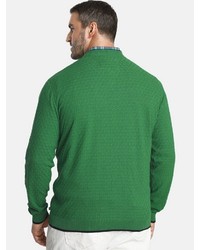grüner Pullover mit einem V-Ausschnitt von Charles Colby