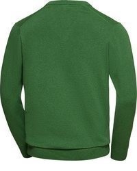 grüner Pullover mit einem V-Ausschnitt von Jacques Britt