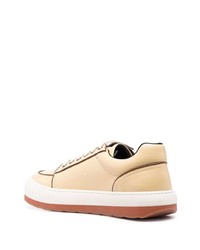 hellbeige Leder niedrige Sneakers von Sunnei