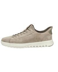 hellbeige Leder niedrige Sneakers von Geox