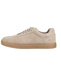 hellbeige Leder niedrige Sneakers von Geox