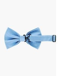 hellblaue Seidefliege von axy