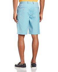 hellblaue Shorts von Ashworth