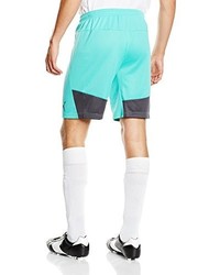 mintgrüne Shorts von Puma