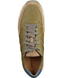 olivgrüne Leder niedrige Sneakers von Geox
