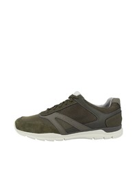 olivgrüne niedrige Sneakers von Geox