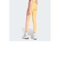 orange Strumpfhose von adidas Sportswear