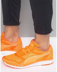 orange Turnschuhe von Puma