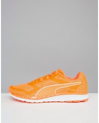 orange Turnschuhe von Puma