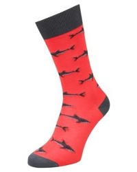 rote Socken von Jimmy Lion