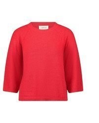 roter Kurzarmpullover von Cartoon