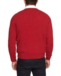 roter Pullover mit einem V-Ausschnitt von Alan Paine