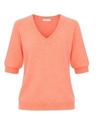 roter Strick Kurzarmpullover von SASSYCLASSY