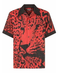 rotes Kurzarmhemd mit Leopardenmuster von Dolce & Gabbana