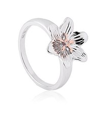 silberner Ring