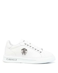 weiße Leder niedrige Sneakers mit Schlangenmuster von Roberto Cavalli