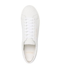 weiße Leder niedrige Sneakers mit Schlangenmuster von Saint Laurent